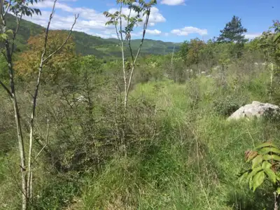 Building plot 3,742 m², Šušnjevica - peaceful surroundings - 4