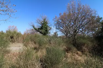 Vodnjan, okolica, prostrano građevinsko zemljište