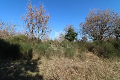 Vodnjan, okolica, prostrano građevinsko zemljište - 4