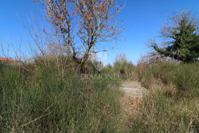 Vodnjan, okolica, prostrano građevinsko zemljište - 5