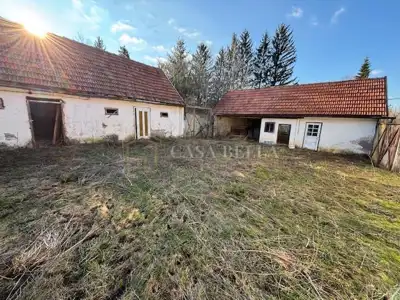 Rural estate, Plaški-Lapat, orchard and stream - 4