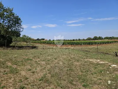 Baugrundstück 762 m², Poreč Umgebung, Panoramablick