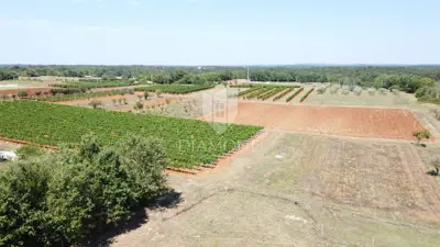 Building plot 762 m², Poreč surroundings, panoramic views - 5