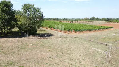 Building plot 762 m², Poreč surroundings, panoramic views - 4