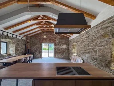 Buzet - neu adaptiertes Steinhaus mit Pool - 2