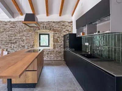 Buzet - neu adaptiertes Steinhaus mit Pool - 4