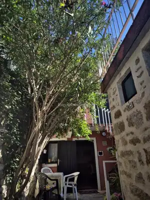 Murter - stone house with courtyard - 4