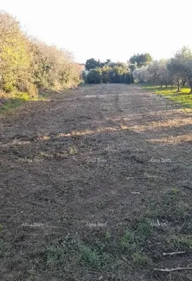 Baugrundstück 1 793 m², Premantura, Nähe zum Meer und Kamenjak - 3