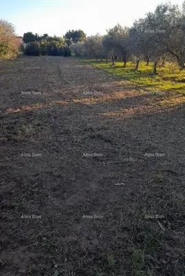 Baugrundstück 1 793 m², Premantura, Nähe zum Meer und Kamenjak - 2