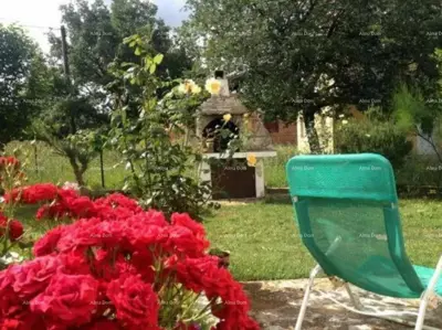 House in Valbandon, Fažana, landscaped yard and parking - 11
