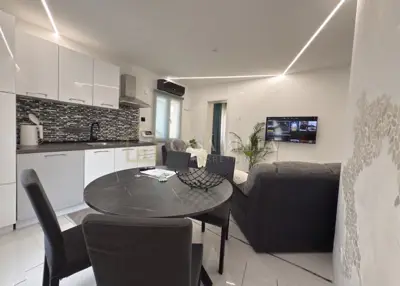 NOVI VINODOLSKI, 1 room + living room, 45 m², newly renovated apartment