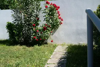 Okolica Trogira, samostojeća kuća u blizini mora, prodaja - 4