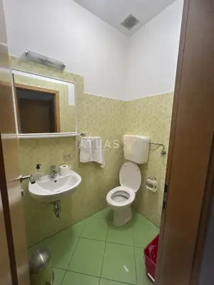 Kastav, spinčići | poslovni prostor s privatnim parkingom - 9