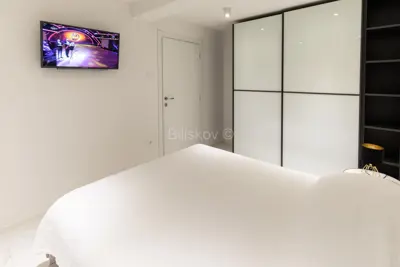 Crikvenica, luksuzna kuća, 4 apartmana, bazen, parking, vrt, garaža - 7