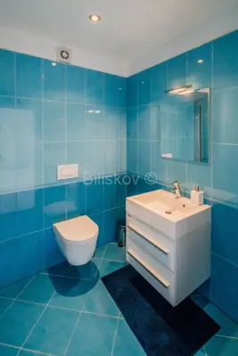 Crikvenica, luksuzna kuća, 4 apartmana, bazen, parking, vrt, garaža - 18