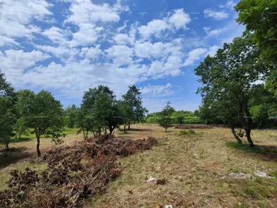 Baugrundstück 5 448 m², Barban, innerhalb des bebauten Gebiets - 2