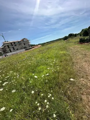 Zu verkaufen, Istrien, Želiski, Grundstück, Projekt für eine oder sechs Villen - 8