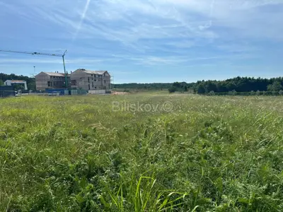 Zu verkaufen, Istrien, Želiski, Grundstück, Projekt für eine oder sechs Villen - 5