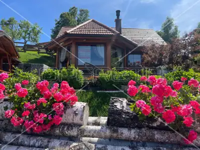 Luxury villa with pool, wellness area and gazebo in the heart of Gorski Kotar - 22