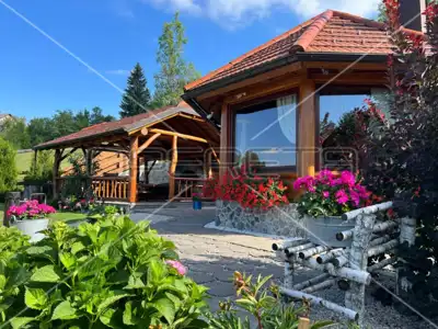 Luxury villa with pool, wellness area and gazebo in the heart of Gorski Kotar - 21