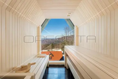 Luxury villa with pool, wellness area and gazebo in the heart of Gorski Kotar - 18