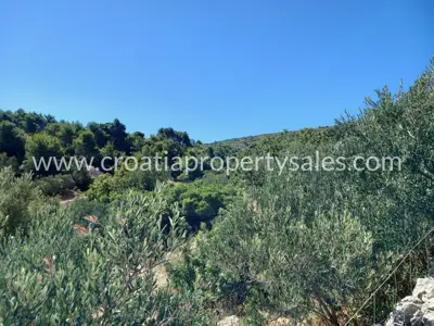 Landwirtschaftsfläche, Otok Brač - Meerblick - 4