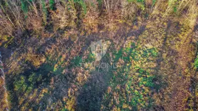 Umag, opportunity! Land with building permit! - 2
