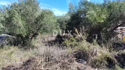 DUGI OTOK, BOŽAVA - GELEGENHEIT! Baugrundstück 130 m vom Meer entfernt!