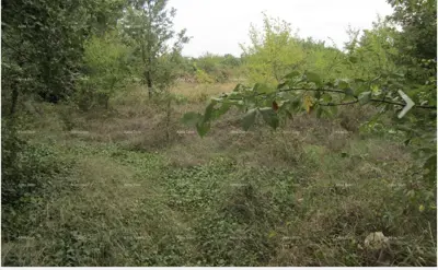 Građevinsko zemljište u Ližnjanu, 170 m od mora