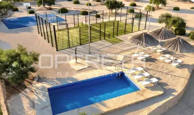Brač, Milna - imanje na 10 000 m², investicijska prilika - 3