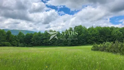 Grundstück 1.200 m², Stari Laz - Waldrand und ruhige Lage