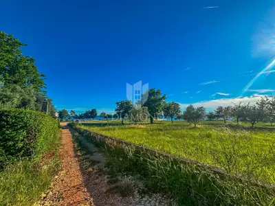 Apartment in Umag, Zambratija - 200 m from the sea and beach - 13