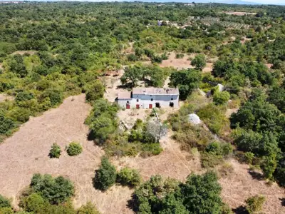 Stone house, Barban, sea view and large plot - 18