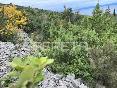 Landwirtschaftsfläche 9.435 m², Korčula - zwischen Pupnat und Kneža - 13