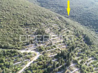 Landwirtschaftsfläche 9.435 m², Korčula - zwischen Pupnat und Kneža - 3