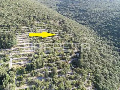 Landwirtschaftsfläche 9.435 m², Korčula - zwischen Pupnat und Kneža - 5