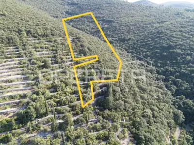 Landwirtschaftsfläche 9.435 m², Korčula - zwischen Pupnat und Kneža - 4