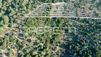 Landwirtschaftsfläche 1.529 m², Povlja auf Brač, ruhige Lage - 4