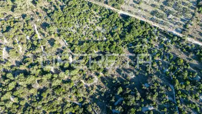 Landwirtschaftsfläche 1.529 m², Povlja auf Brač, ruhige Lage - 5