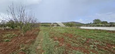 Building plot 870 m², Debeljak near Sukošan - 3