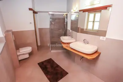 OKOLICA TINJANA! ! ! Velika samostojeća villa sa 4 spavaće sobe, idealna - 21