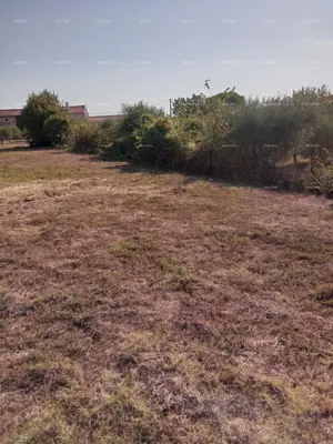 Baugrundstück 1 064 m², Mutvoran bei Marčana, an der Straße - 4