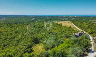 Baugrundstück 2.000 m², Krasica - offener Blick - 13