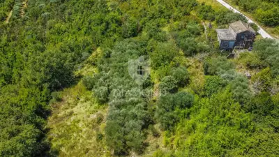 Baugrundstück 2.000 m², Krasica - offener Blick - 3