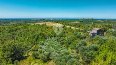 Baugrundstück 2.000 m², Krasica - offener Blick - 14