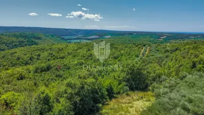 Baugrundstück 2.000 m², Krasica - offener Blick - 15