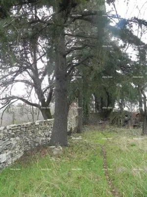 Građevinsko zemljište 720 m², Sošići, Kanfanar - mirna lokacija - 2