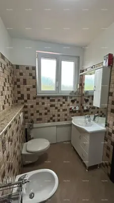 Haus mit Apartments und Pool, Pula Veli vrh, gepflegter Gartenbereich - 12