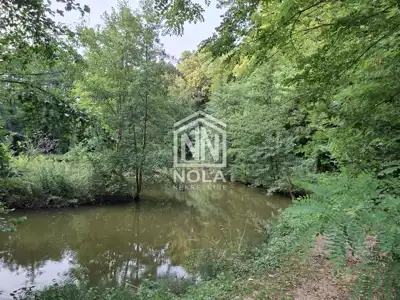 Ivanec, Kaniža - two holiday homes by a private lake - 21