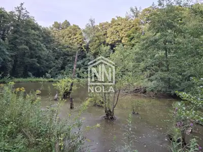 Ivanec, Kaniža - two holiday homes by a private lake - 22